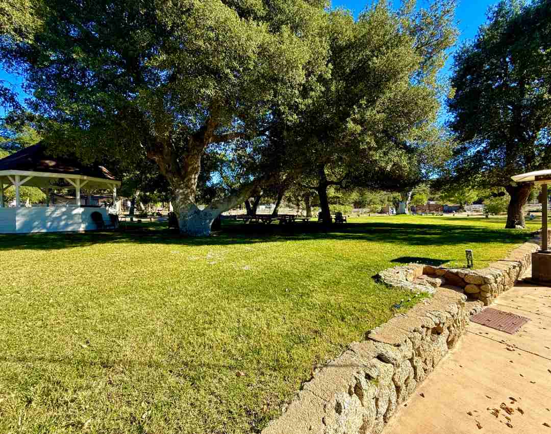 A Calm, Distraction-Free Setting That Supports Recovery From the Start